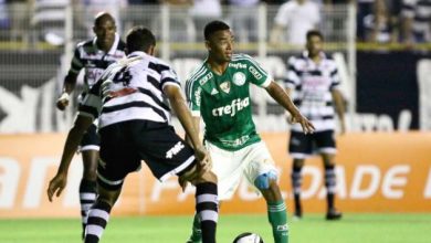 XV de Piracicaba x Palmeiras ao vivo - Foto/Divulgação