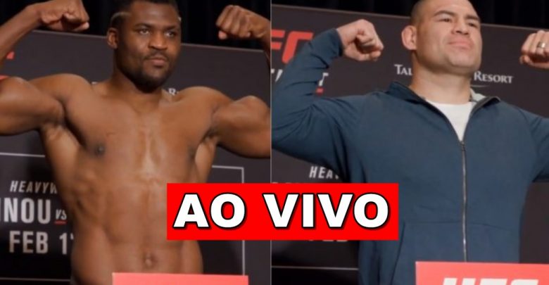 UFC ao vivo - Saiba como assistir - Foto/Divulgação