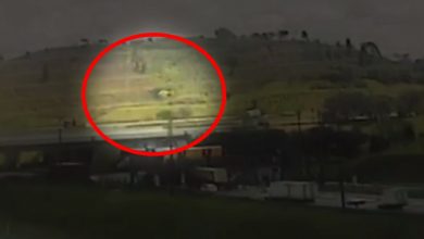 Vídeo exibe queda de helicóptero de Ricardo Boechat - Foto/Divulgação