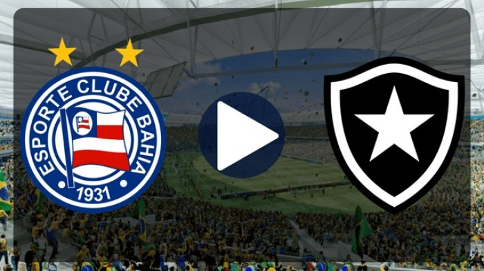 Botafogo x Bahia ao vivo - Foto/Divulgação